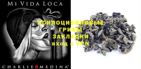 spice Медногорск