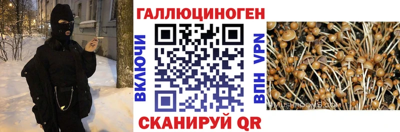 Галлюциногенные грибы Magic Shrooms  наркотики  Тольятти 