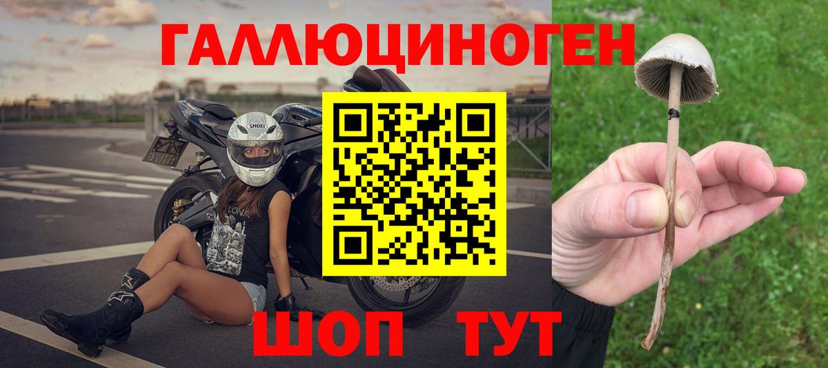 Псилоцибиновые грибы прущие грибы  Вход с VPN  Псилоцибиновые грибы GOLDEN TEACHER  где продают наркотики  Тольятти 